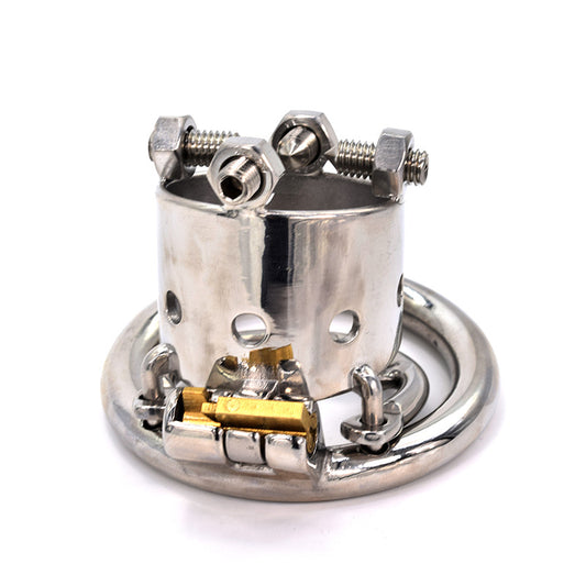 Polished Stainless Steel Chastity - image 1