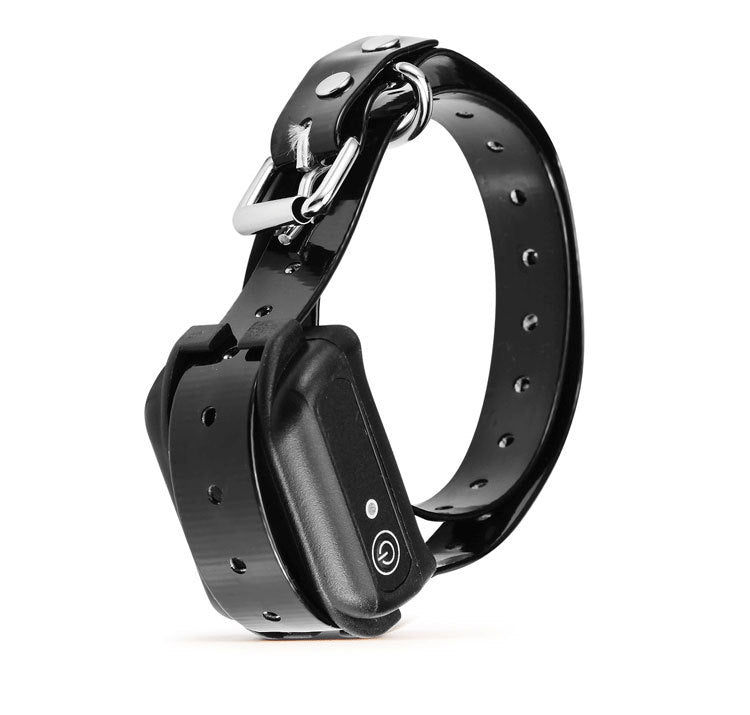 Total Submission Rechargeable BDSM Shock Collar - image 3