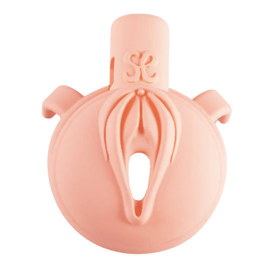 Pink Pride Chastity Cage - image 1