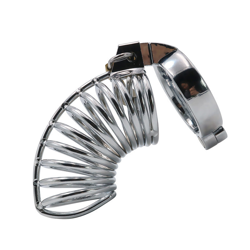 Ring Bearer's Metal Chastity Device - image 3