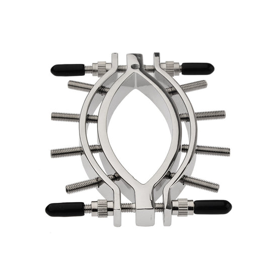 Stainless Metal Adjustable Labia Clamp for Sensation Play - image 1