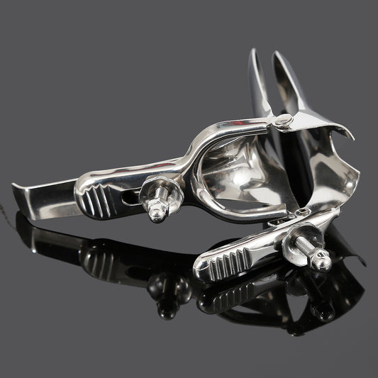 304 Stainless Steel Vaginal Speculum - image 1