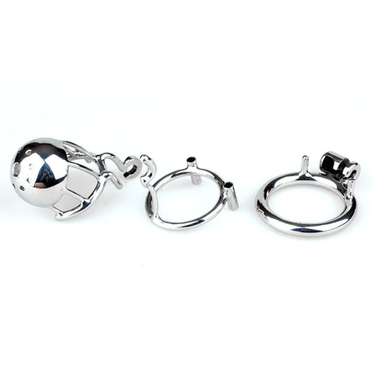 Ch39 - Dome Prince Albert Chastity - image 1