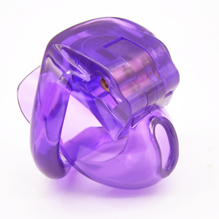 HOLY TRAINER V4 Sissy Chastity Cage for Male - Purple - image 4