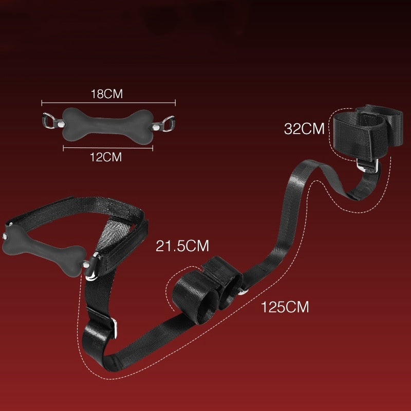 BDSM Restraints Kit Set with Mouth Gag - B - image 3