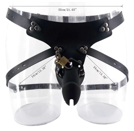 Chastity Cage Chastity Belt - image 3