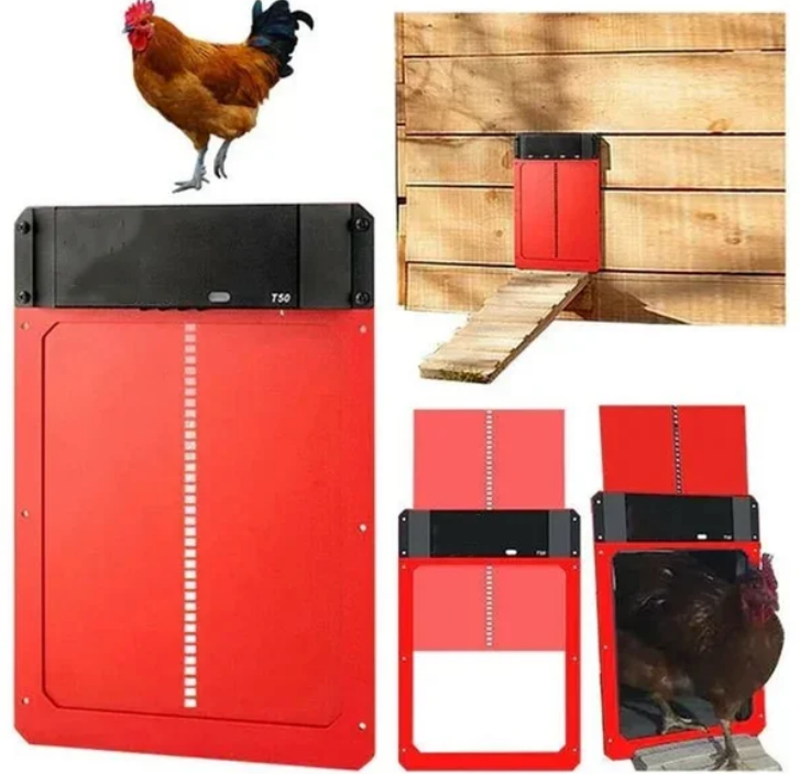 Automatic Poultry Chicken House Door
