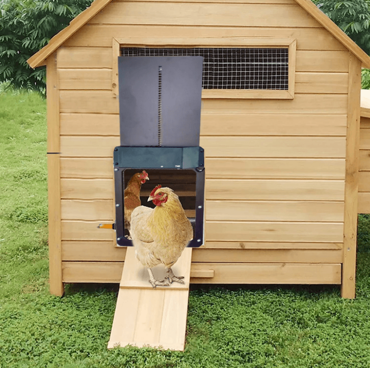 Automatic Poultry Chicken House Door