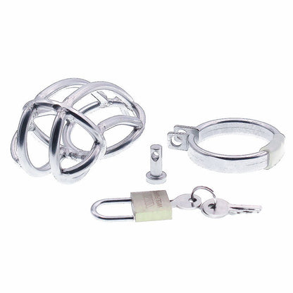 Imprisoned Chastity Cage - image 0