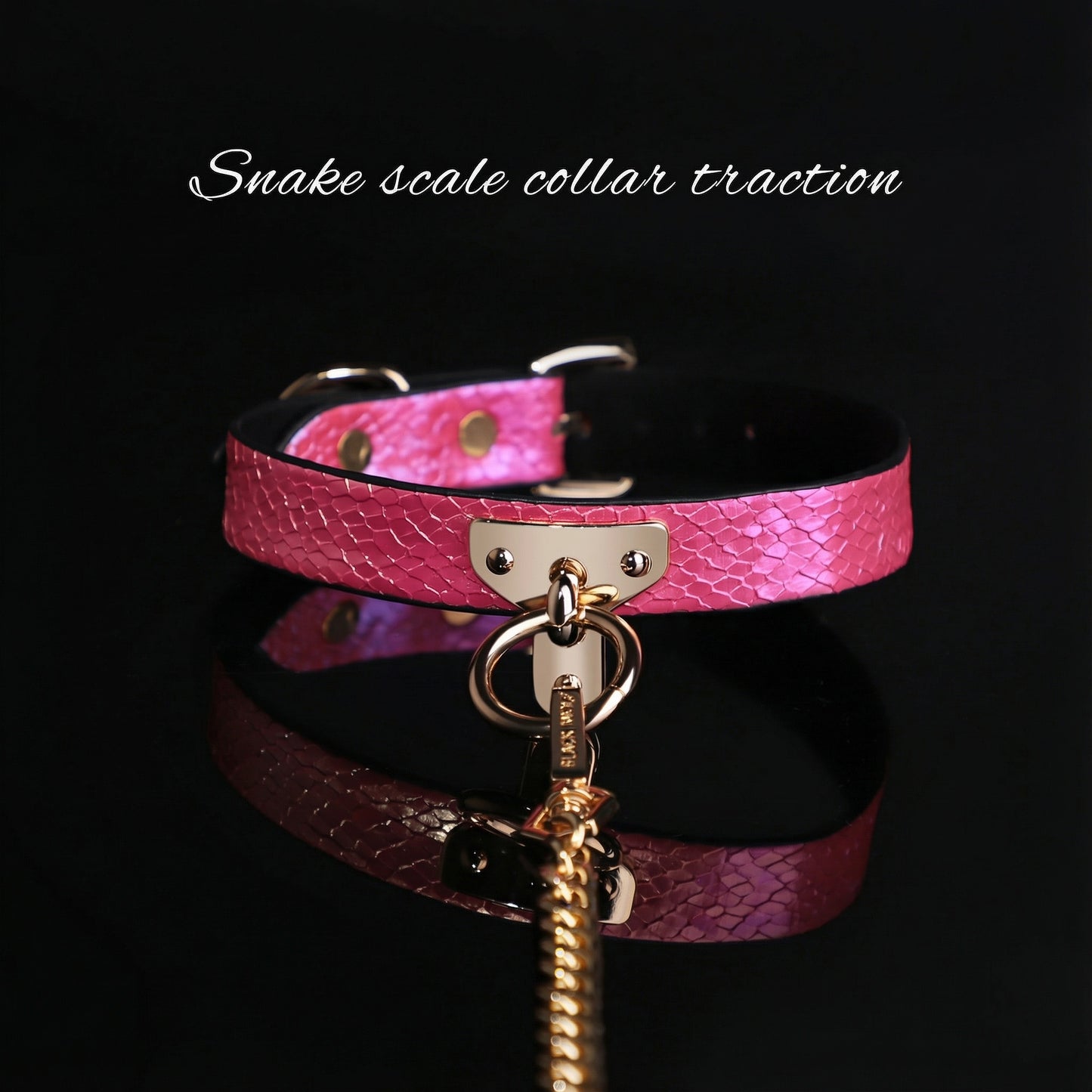 Snake Skin Texture Collar & Leash Set - image 4