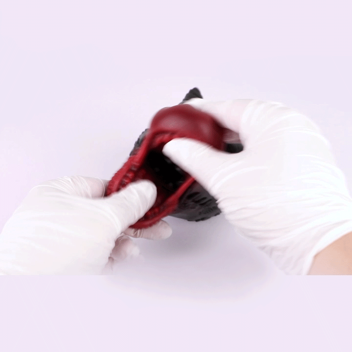 Bad Dragon Oral Fantasy BlowJob Toy - image 7