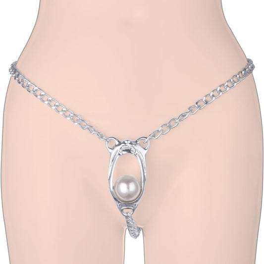 Female Chastity Devices with Metal Lock - Stainless Steel - image 0