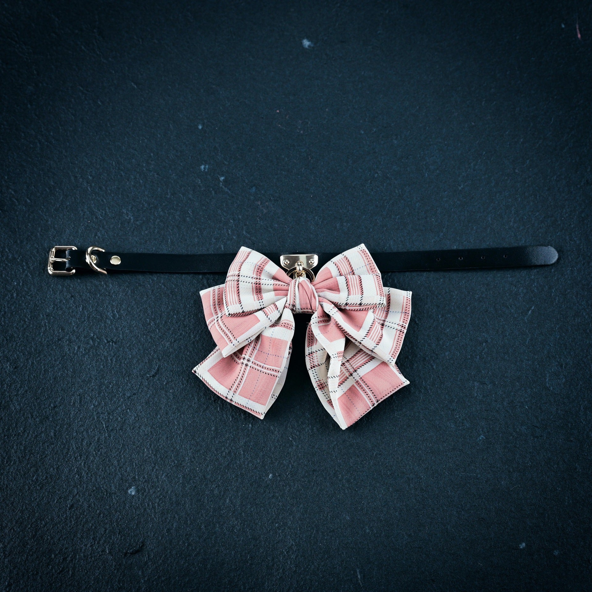 Collar & Lead Set - Collar - image 2