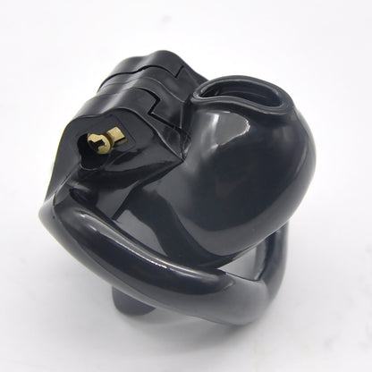 HOLY TRAINER V4 Sissy Chastity Cage for Male - Black - image 1