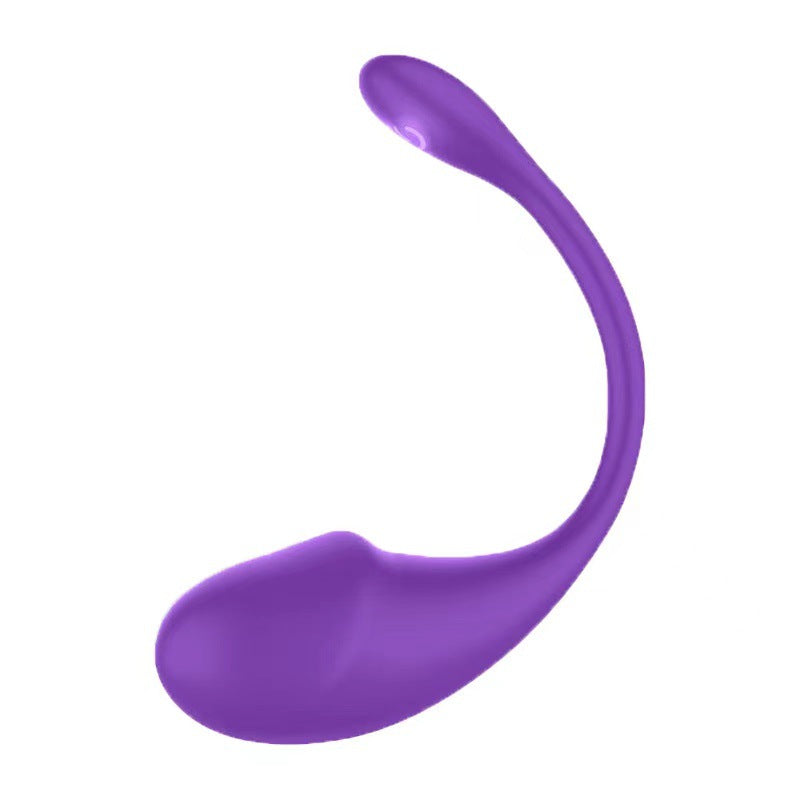 APP Remote Control G-spot Panty Vibrator 10 Vibrations - Purple - image 7