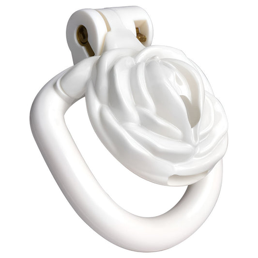 Male Chastity Cage with 4 Rings – Lightweight Resin Locking Device with 2 Keys, Invisible Wear for Long-Term Use - image 0
