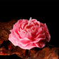 Multi-Shape SM Aromatic Wax Drip - Peony - Gilded Pink - image 19