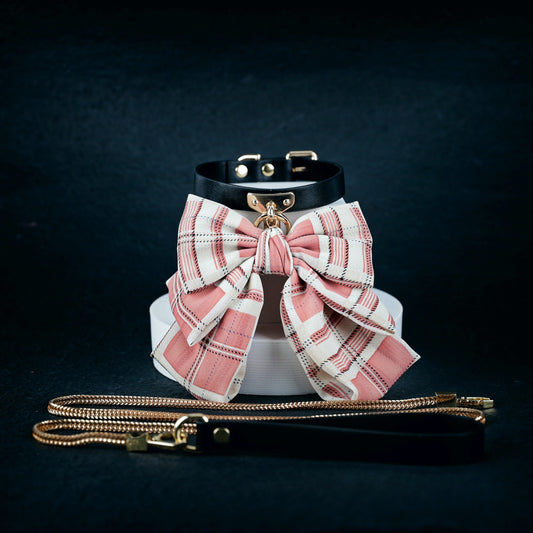 Collar & Lead Set - image 1
