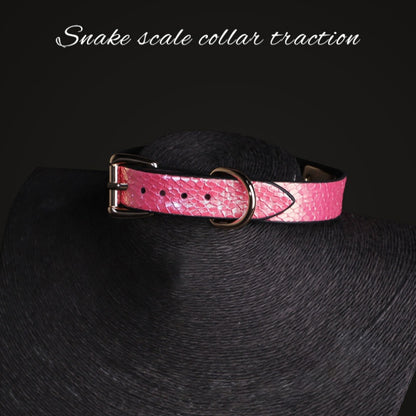 Snake Skin Texture Collar & Leash Set - image 3