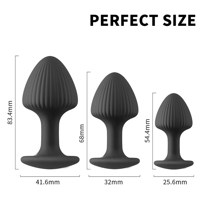 Anal Training Kit Butt Plugs - image 11