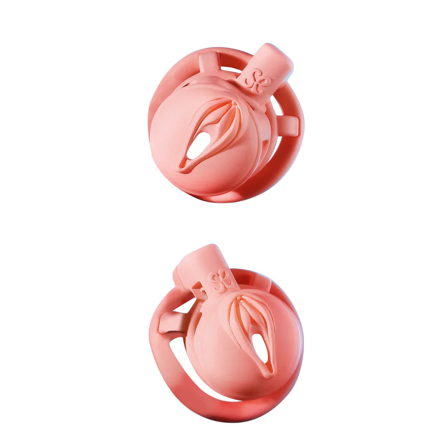 Pink Pride Chastity Cage - image 5