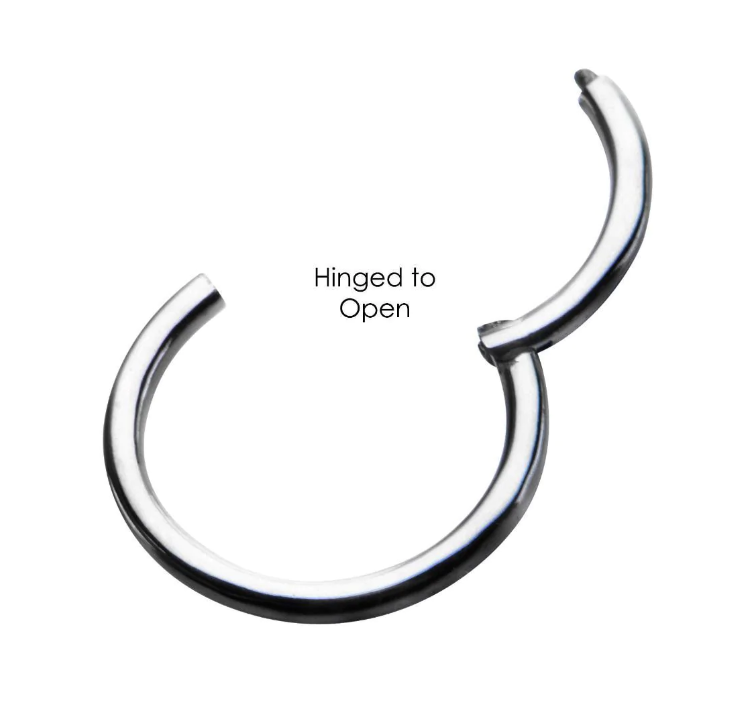 Surgical Steel Clicker Hinged Segment Ring Prince Albert Piercing - image 0
