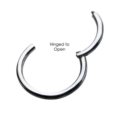 Surgical Steel Clicker Hinged Segment Ring Prince Albert Piercing - image 0