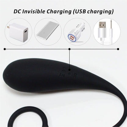 ControlMe – Dual-Color Cock Ring with Vibrating Egg - image 2