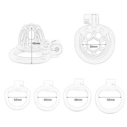 Open End Hollow Chastity Cage with 4 Rings - image 1
