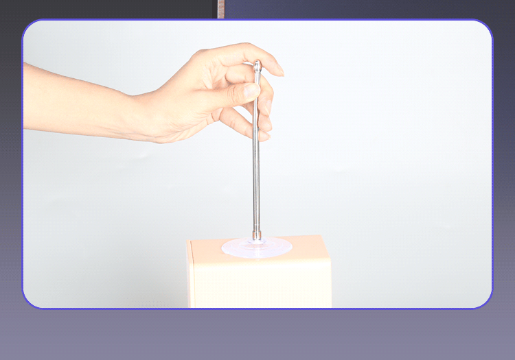 Urethral Sound with Suction Cup Base - image 0