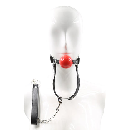 SM Mouth Gag with Leash - image 3