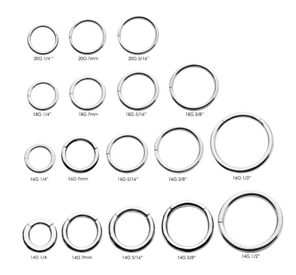 Surgical Steel Clicker Hinged Segment Ring Prince Albert Piercing - image 1