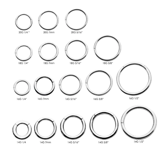 Surgical Steel Clicker Hinged Segment Ring Prince Albert Piercing - image 1