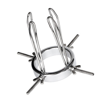 Oculus Stainless Steel Speculums Anal Virginal Explorer - image 0