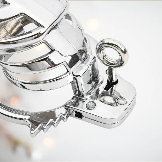 Slave Restraint Trainer Chastity Cage with Adjustable Ring - image 2