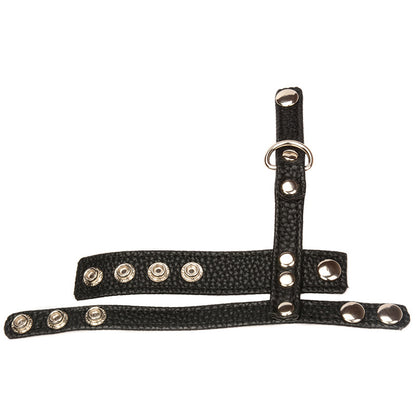 Leather Ball Stretcher With Cock Ring - image 0