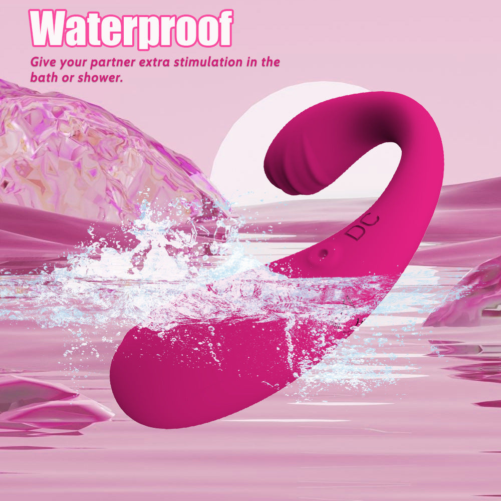 Dual Motor Vibrator for Vaginal & Clitoral Stimulation – Rechargeable & Body-Safe - image 1