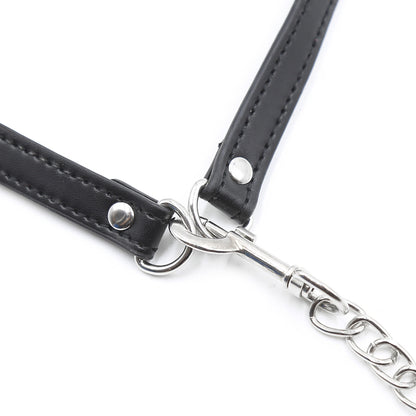 BDSM Mouth Gag With Leash - image 3