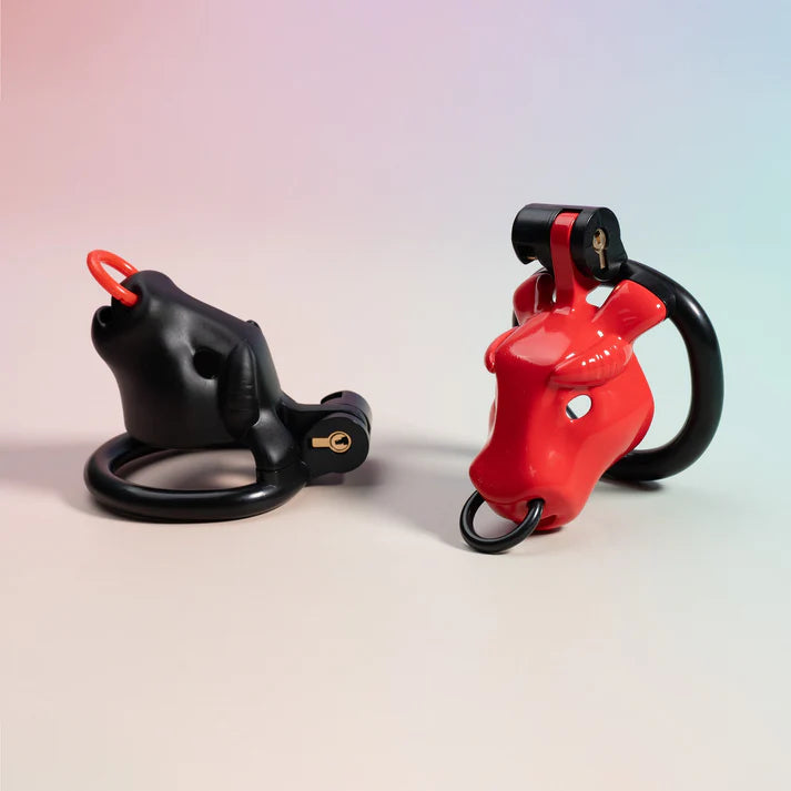 Bull Chastity Cage Kit - image 6