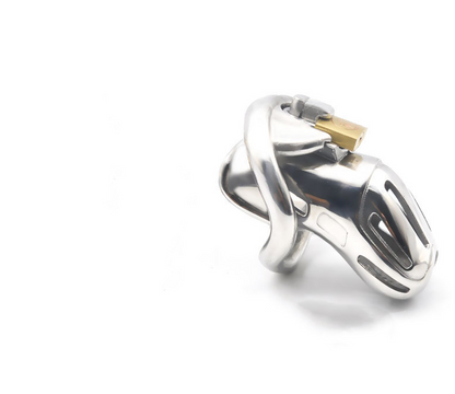 Stainless Steel Sissy Chastity Cage - Ring Dimensions: 1.97" * Length: 3.3'' - image 0