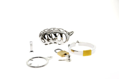 BDSM Male Chastity Cage - image 1
