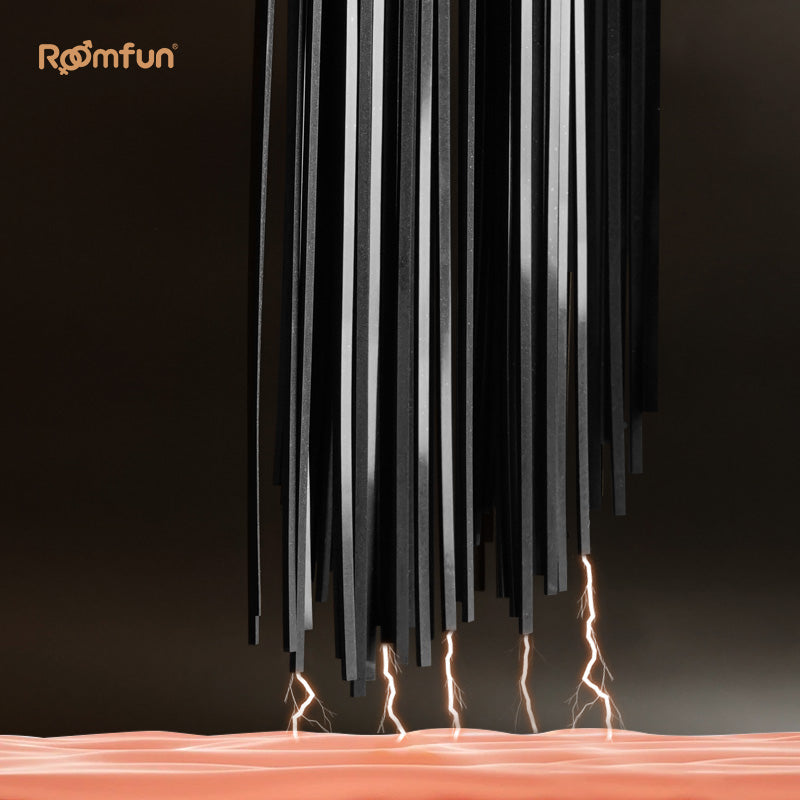 Electric Shock Whip Flogger BDSM - image 4