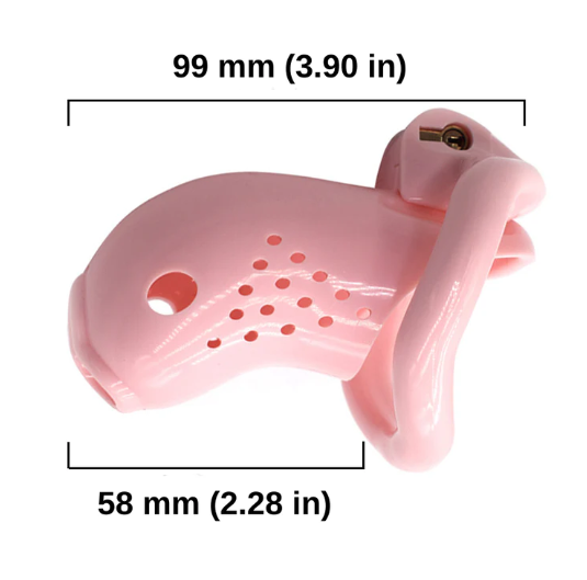 Sissy Prison - Pink Plastic Chastity Cage - image 1