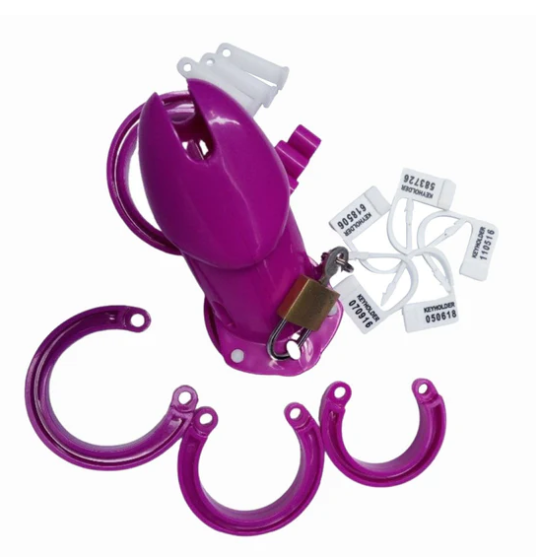 Denial Chastity Cage - image 6