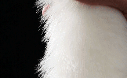 Fluffy Fox Tail Anal Plug  - image 7