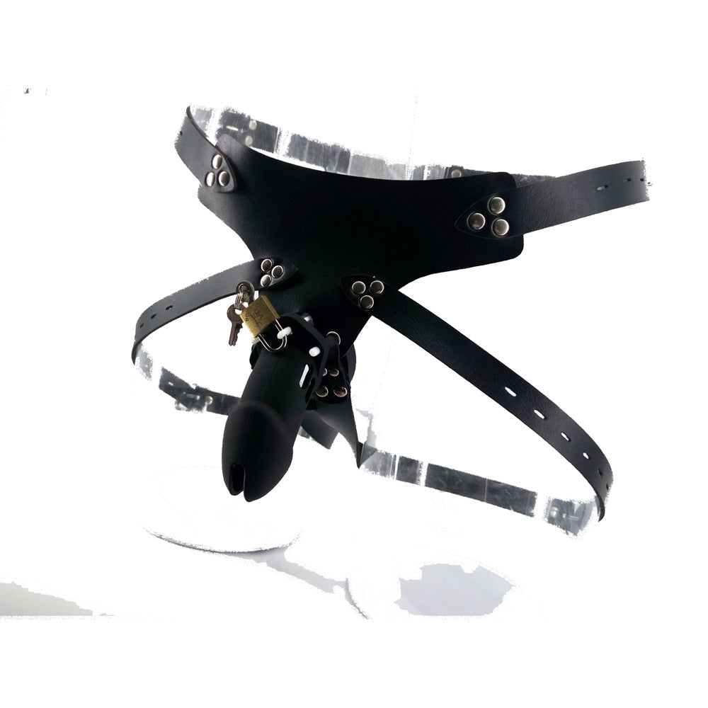 Chastity Cage Chastity Belt - image 0