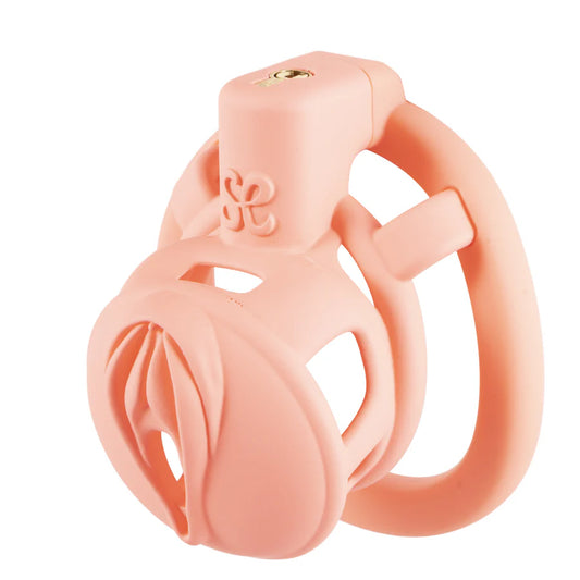 Pink Pride Chastity Cage - image 0