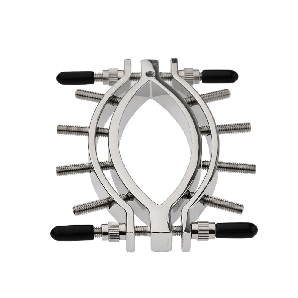 Stainless Metal Adjustable Labia Clamp for Sensation Play - image 1