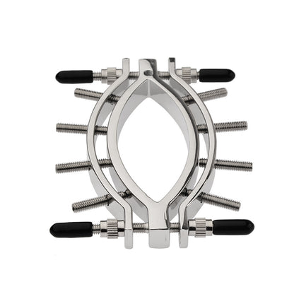 Stainless Metal Adjustable Labia Clamp for Sensation Play - image 1