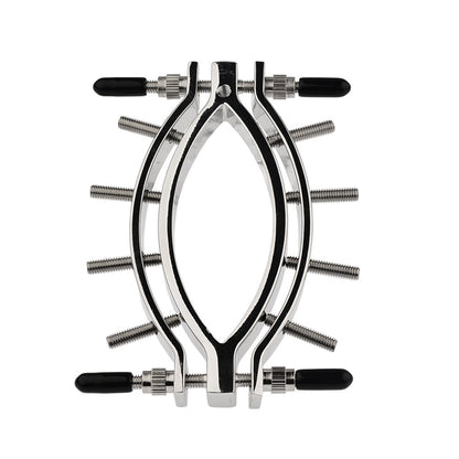 Stainless Metal Adjustable Labia Clamp for Sensation Play - A - image 5
